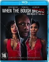 When the Bough Breaks (Blu-ray Movie)