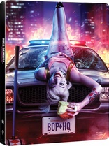 Birds of Prey &#40;And the Fantabulous Emancipation of One Harley Quinn&#41; (Blu-ray Movie)