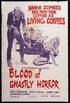Blood of Ghastly Horror (Blu-ray Movie)