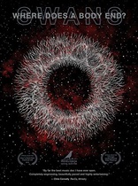Swans: Where Does a Body End? (Blu-ray Movie)