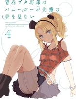 Rascal Does Not Dream of Bunny Girl Senpai: Vol. 4 (Blu-ray Movie)