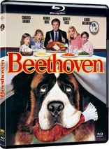 Beethoven (Blu-ray Movie)