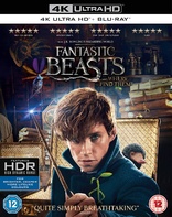 Fantastic Beasts and Where to Find Them 4K (Blu-ray Movie)