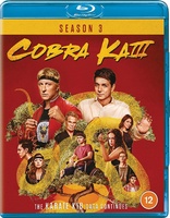 Cobra Kai: Season 3 (Blu-ray Movie)