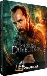 Fantastic Beasts: The Secrets of Dumbledore 4K (Blu-ray Movie)