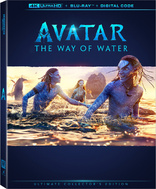 Avatar: The Way of Water 4K (Blu-ray Movie)