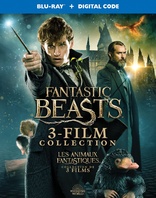 Fantastic Beasts 3-Film Collection (Blu-ray Movie)