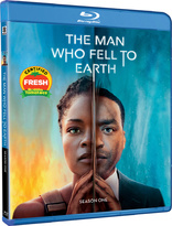 The Man Who Fell to Earth (Blu-ray Movie)