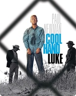 Cool Hand Luke 4K (Blu-ray Movie)