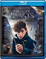 Fantastic Beasts and Where to Find Them (Blu-ray Movie)