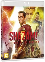 Shazam! Fury of the Gods (Blu-ray Movie)