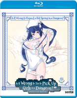 Is it Wrong to Expect a Hot Spring in a Dungeon? (Blu-ray Movie)