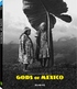Gods of Mexico (Blu-ray Movie)