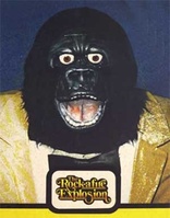 The Rock-afire Explosion (Blu-ray Movie)