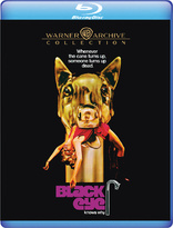 Black Eye (Blu-ray Movie)