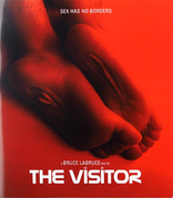 The Visitor (Blu-ray Movie)