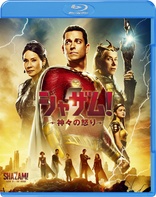 Shazam! Fury of the Gods (Blu-ray Movie)