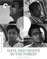 Days and Nights in the Forest (Blu-ray Movie)