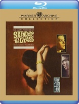 Splendor in the Grass (Blu-ray Movie)
