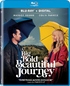 A Big Bold Beautiful Journey (Blu-ray Movie) A Big Bold Beautiful Journey (Blu-ray Movie)