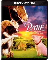 Babe 4K (Blu-ray Movie)