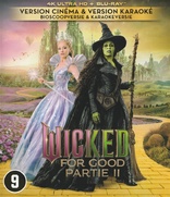 Wicked: For Good 4K (Blu-ray Movie)