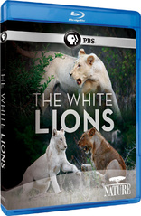 Nature: The White Lions (Blu-ray Movie)