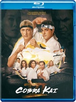 Cobra Kai: Season Six (Blu-ray Movie)