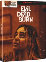 Evil Dead Burn 4K (Blu-ray Movie)