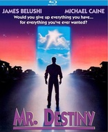 Mr. Destiny (Blu-ray Movie)