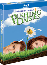 Pushing Daisies: L'intgrale de la Saison 1 (Blu-ray Movie), temporary cover art