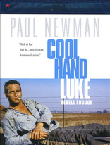 Cool Hand Luke (Blu-ray Movie)