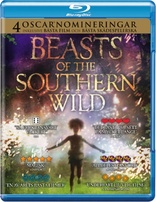 Beasts of the Southern Wild (Blu-ray Movie)