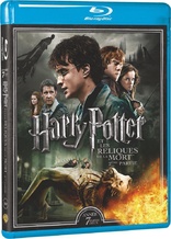 Harry Potter and the Deathly Hallows: Part 2 (Blu-ray Movie)