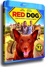 Red Dog (Blu-ray Movie)