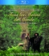 Tous les Matins du Monde (Blu-ray Movie)