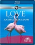 Nature: Love in the Animal Kingdom (Blu-ray Movie)