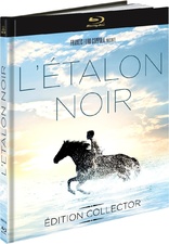 The Black Stallion (Blu-ray Movie)