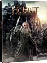 The Hobbit: The Desolation of Smaug (Blu-ray Movie)