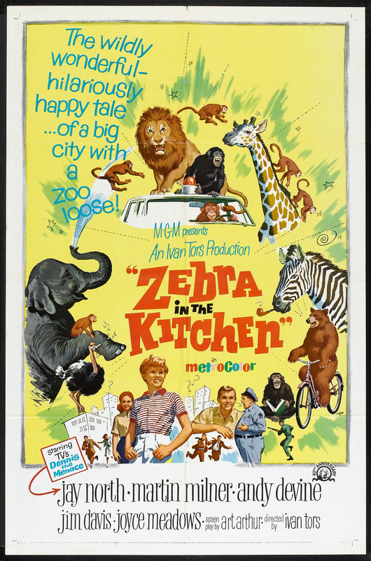 Zebra In The Kitchen 1965