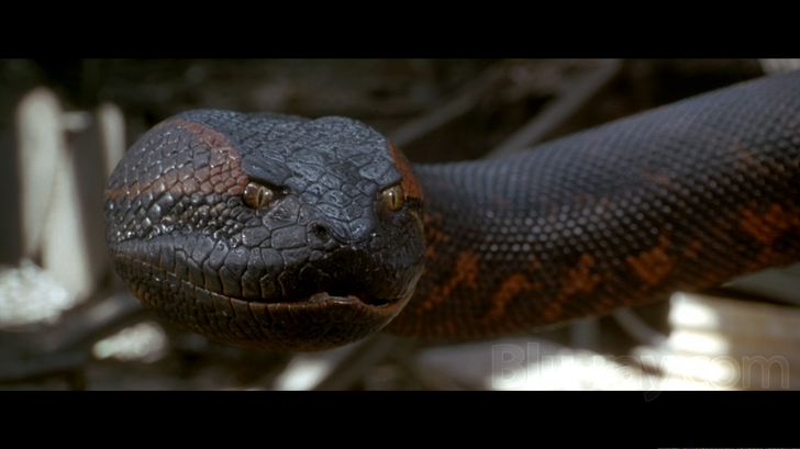 anaconda 3 snake